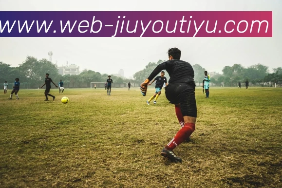 九游体育APP 封面图