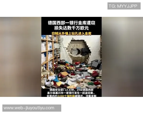 约内斯库洛杉矶住所遭窃多个手提包被盗损失超六万元 约内斯库洛杉矶住所遭窃多个手提包被盗损失超六万元